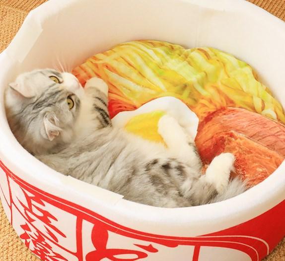 Cup Noodles Shaped Cat House