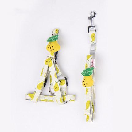 Fruit Style Cat Harness - happyandpolly
