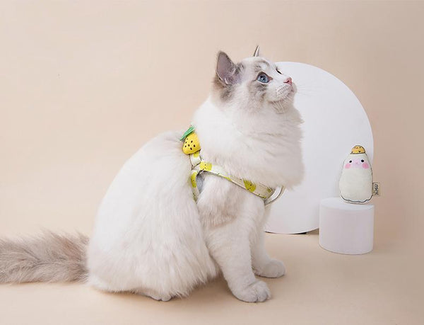 Fruit Style Cat Harness - happyandpolly