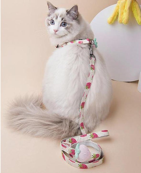 Fruit Style Pet Harness - happyandpolly