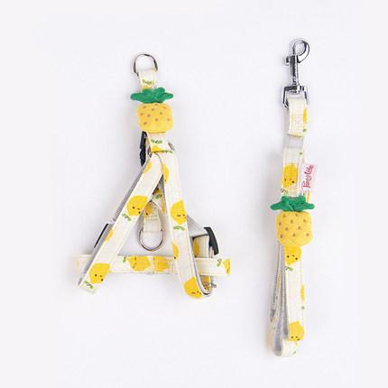 Fruit Style Cat Harness - happyandpolly