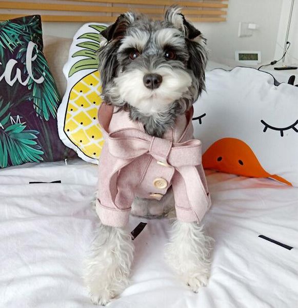 Morandi Puppy Dog Coat Outerwear